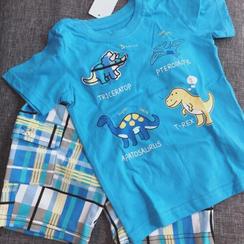 Summer Boy Clothes T-Shirt And Shorts (cartoon dinosaur) photo review