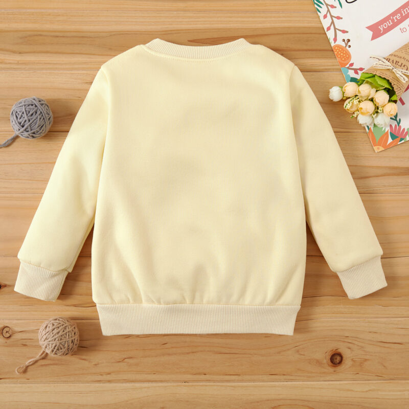 Baby Unisex Casual Pullovers