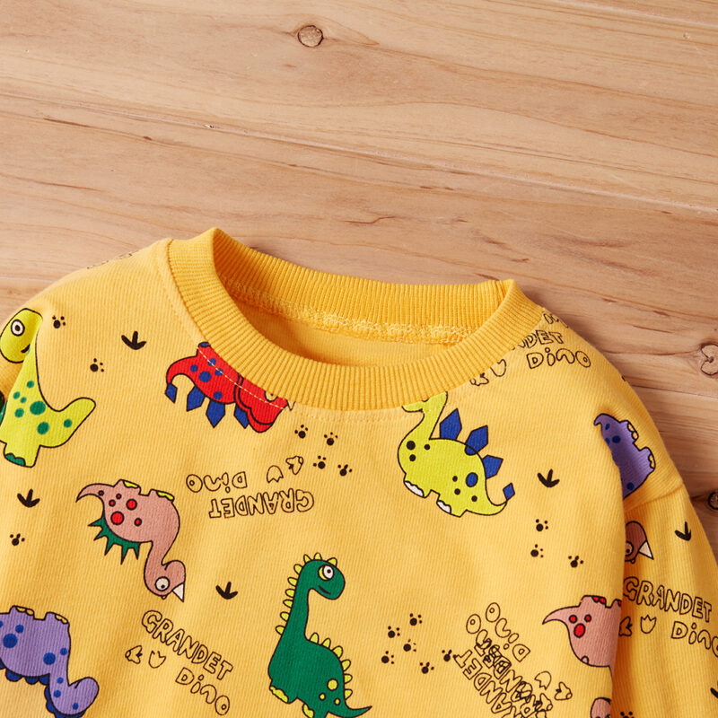 Baby / Toddler Letter Cartoon Dinosaur Print Long-sleeve Pullover