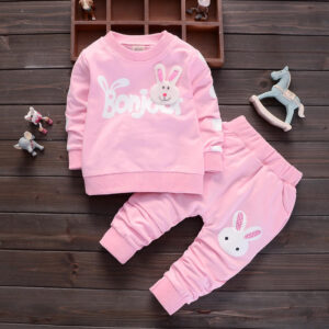 Toddler Snappy Rabbit Decor Sweatshirt and Pants Set