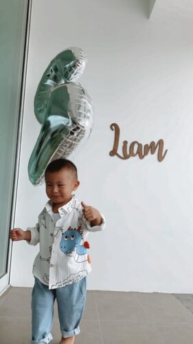 2-piece Baby / Toddler Boy Animal Dinosaur Letter Print Shirt and Solid Jeans Set photo review