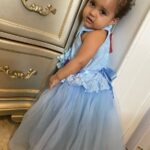 Baby / Toddler Girl Pretty Floral Decor Tulle Solid Party Dress photo review