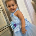 Baby / Toddler Girl Pretty Floral Decor Tulle Solid Party Dress photo review