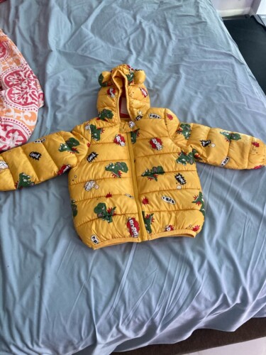 Baby / Toddler Animal Dinosaur Pattern Polka dots Stars print Hooded Down Coat photo review