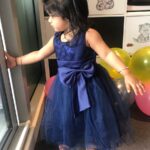 Baby / Toddler Girl Pretty Floral Embroidery Stylish Tulle Party Dress photo review