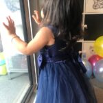 Baby / Toddler Girl Pretty Floral Embroidery Stylish Tulle Party Dress photo review