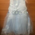 Baby / Toddler Girl Embroidered Mesh Sleeveless Party Dress photo review