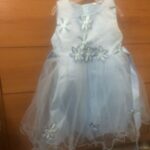 Baby / Toddler Girl Embroidered Mesh Sleeveless Party Dress photo review