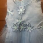 Baby / Toddler Girl Embroidered Mesh Sleeveless Party Dress photo review