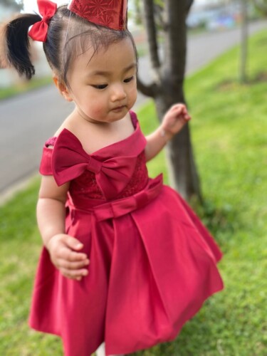 Baby Girl Floral Formal Dresses photo review