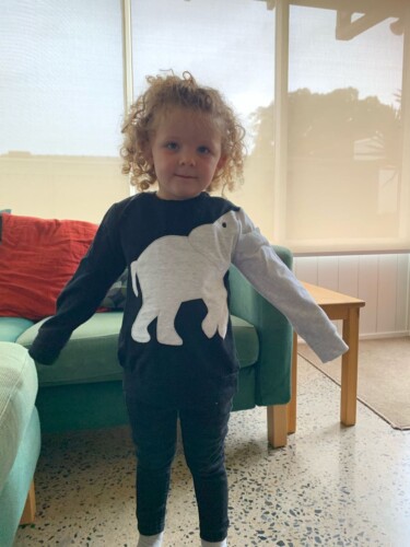 Baby/ Toddler's Elephant Pullover photo review