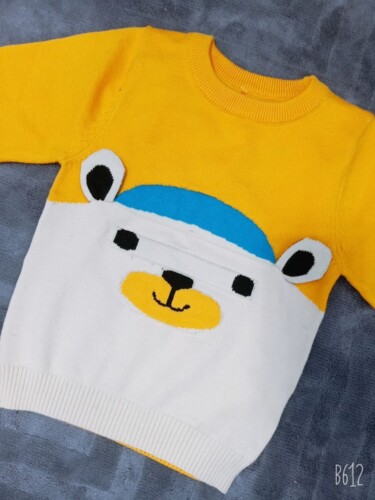 Baby Unisex Bear Sweaters photo review