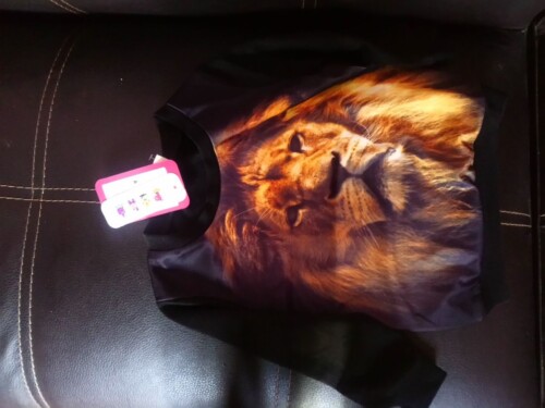 Baby / Toddler Boy Animal Lion Pattern Long-sleeve Pullover photo review