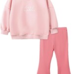 Herimmy Toddlers Girls' 2-Piece Long-Sleeve Sweater Shirts and Pants Playwear Set 2-7T