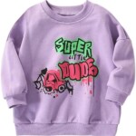 Herimmy Boys Sweatshirts Cotton Long Sleeve Crewneck Pullover Toddler Kids Purple Tops 2-7T