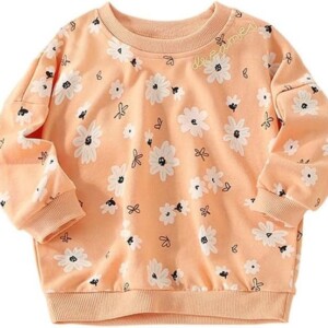 Herimmy Girls Sweatshirts Cotton Long Sleeve Crewneck Pullover Toddler Kids Winter Warm Shirt Sweater Tops 2-7T