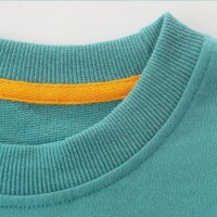 Little Bitty Toddler Boy Sweatshirt Cotton Crewneck Pullover Long Sleeve Sweater Shirt for Kids 2-8 Years